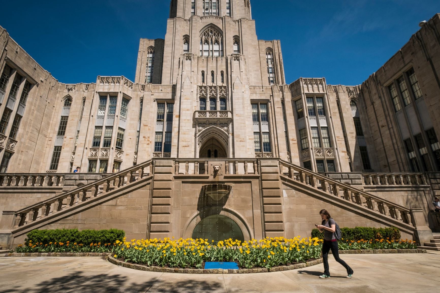 University Of Pittsburgh School Of Social Work Acceptance Rate
