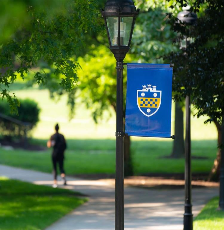 Sidewalk on Cathedral Lawn